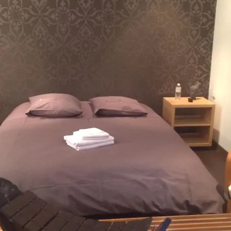 Apartment Duplex Cosy Au Coeur De Nancy, 3 Spacieuses, Parking Et Tous Services Inclus - Fr-1-584-341 Nancy