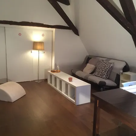 Apartment Duplex Cosy Au Coeur De Nancy, 3 Spacieuses, Parking Et Tous Services Inclus - Fr-1-584-341