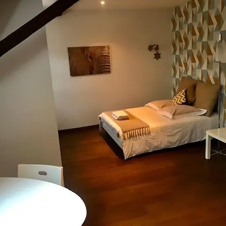 Apartment Duplex Cosy Au Coeur De Nancy, 3 Spacieuses, Parking Et Tous Services Inclus - Fr-1-584-341 Nancy