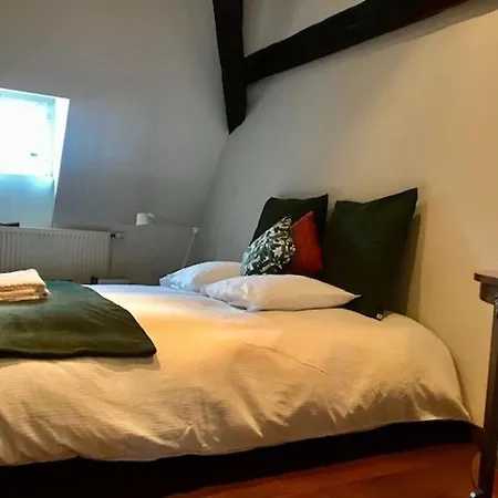 Apartment Duplex Cosy Au Coeur De Nancy, 3 Spacieuses, Parking Et Tous Services Inclus - Fr-1-584-341