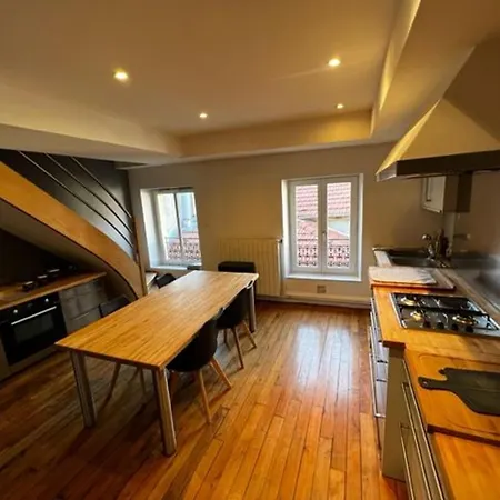 Duplex Cosy Au Coeur De Nancy, 3 Spacieuses, Parking Et Tous Services Inclus - Fr-1-584-341 Apartment *