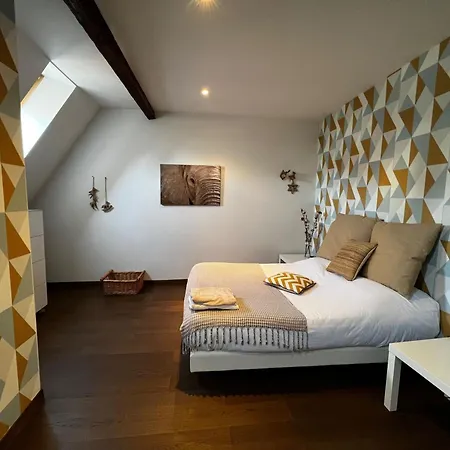 Duplex Cosy Au Coeur De Nancy, 3 Spacieuses, Parking Et Tous Services Inclus - Fr-1-584-341 *