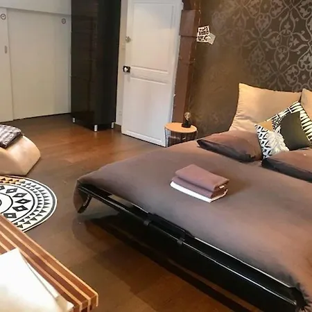 Duplex Cosy Au Coeur De Nancy, 3 Spacieuses, Parking Et Tous Services Inclus - Fr-1-584-341 Nancy