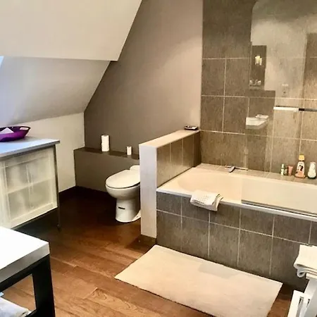 Duplex Cosy Au Coeur De Nancy, 3 Spacieuses, Parking Et Tous Services Inclus - Fr-1-584-341 * Nancy